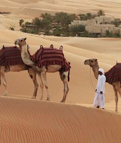 Arabian Nights