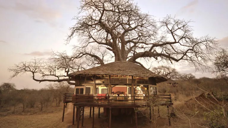 SkySafari Tanzania - 10 Days 9 Nights